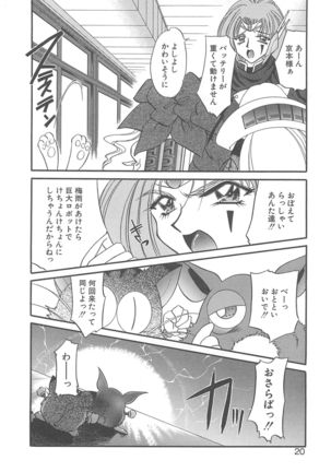 Kigurumi Sentai Quiltian - Page 19