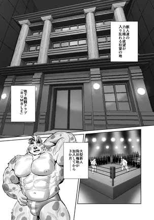 Image 14313091