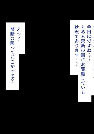 Iroiro na Motsu ni Gitai shi te e Tchi na Itazura Shi Houdai Page #119