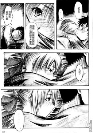 Fate Gakuen ALTERNATIVE - Page 25