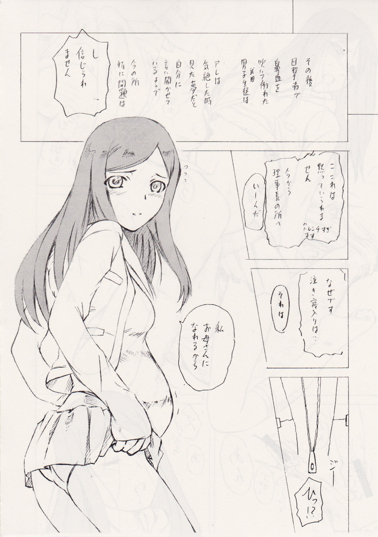 <<舞HIME＆舞乙HIME>> 風華楽園 / Obsidian Order