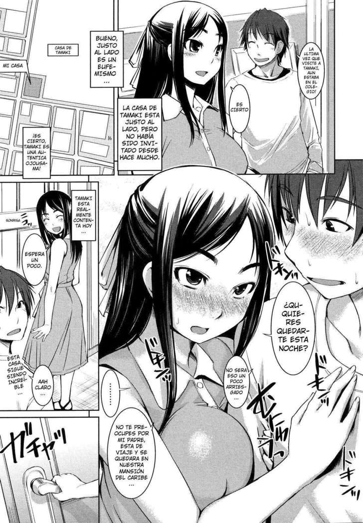 Ojousama wa H ga Osuki