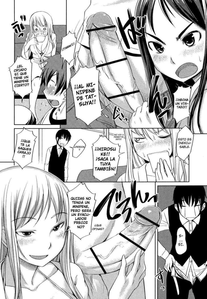 Ojousama wa H ga Osuki