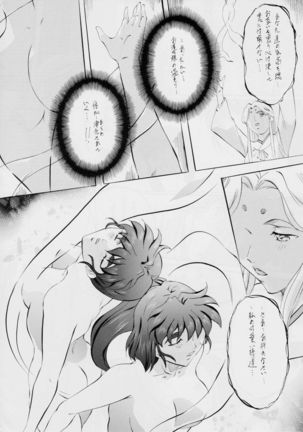 亜衣&麻衣D・S 天女再臨~魔王の終焉~ - Page 19