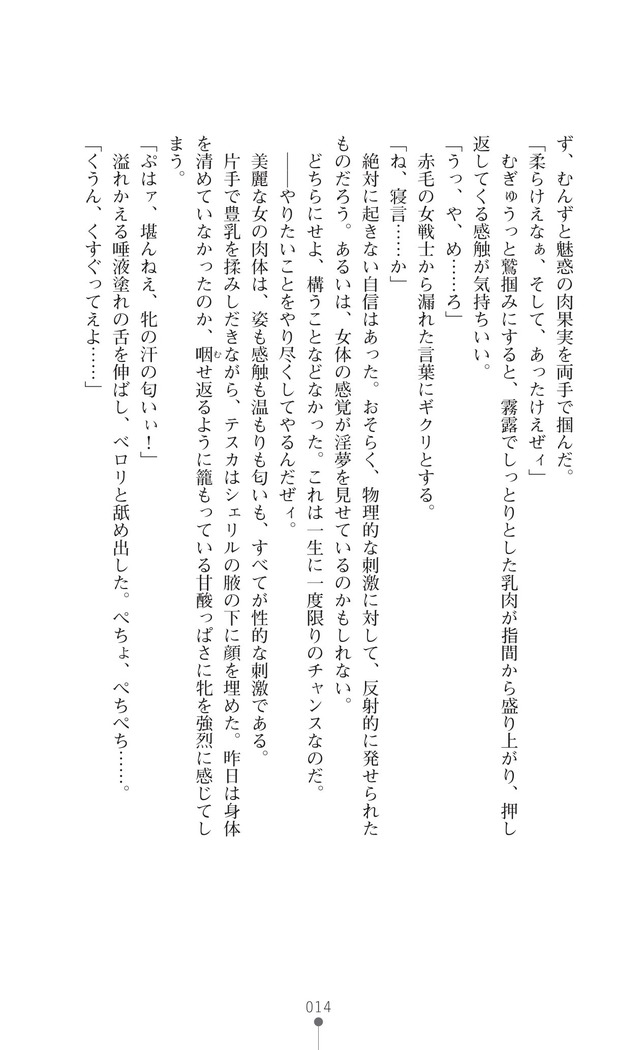 イセリア英雄戦記7  【購入特典】