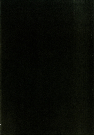 Image 7794155