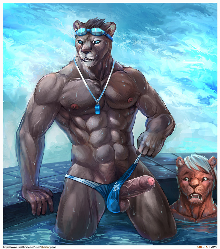 Big Cats in Speedos