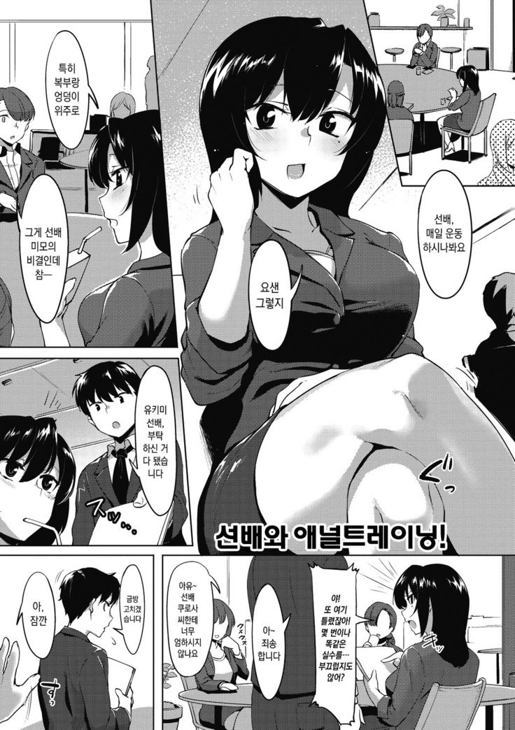 Nisebon | 니세본