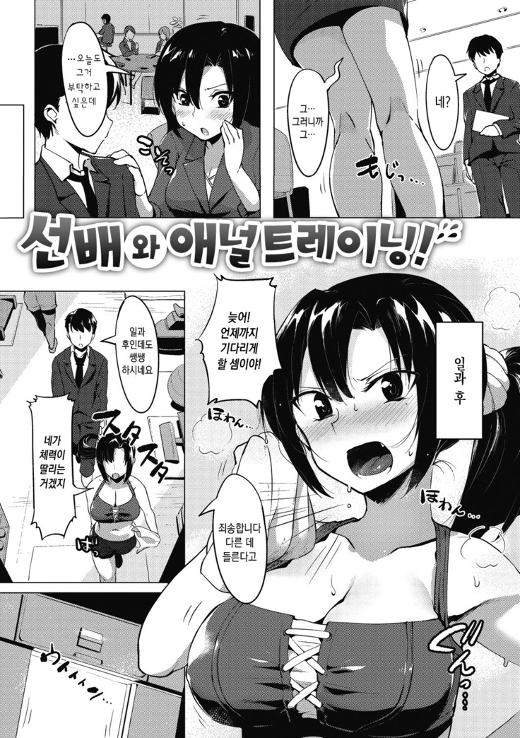 Nisebon | 니세본
