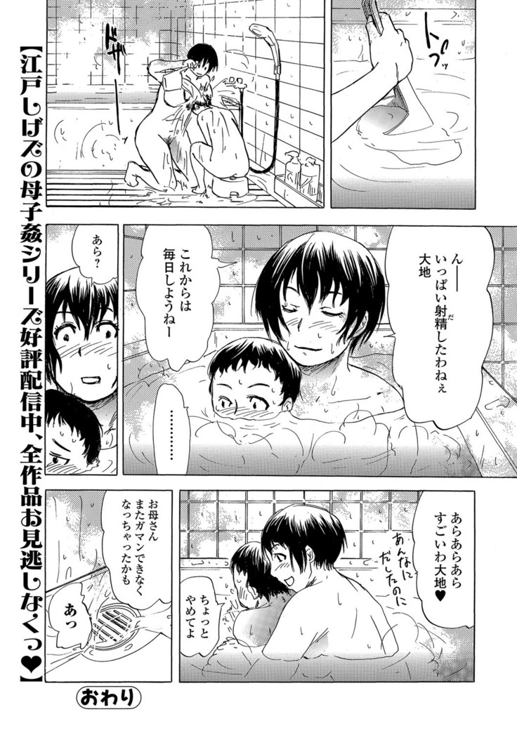Web Comic Toutetsu Vol. 14
