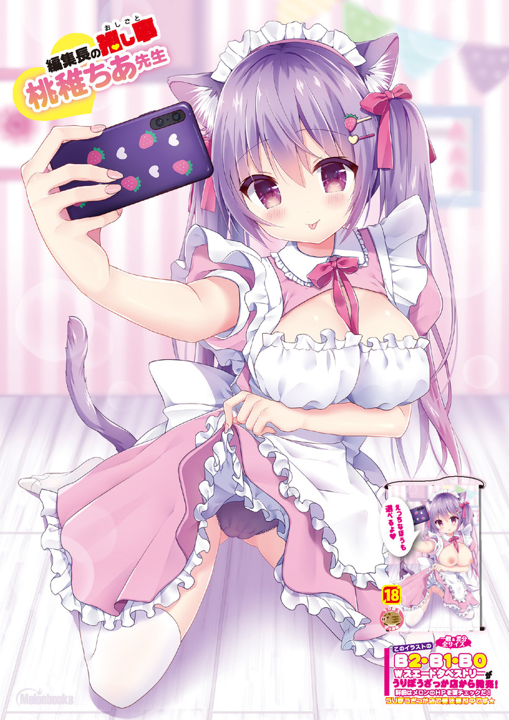 月刊うりぼうざっか店 2020年10月30日発行号