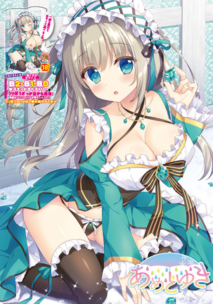 月刊うりぼうざっか店 2020年10月30日発行号 Page #17