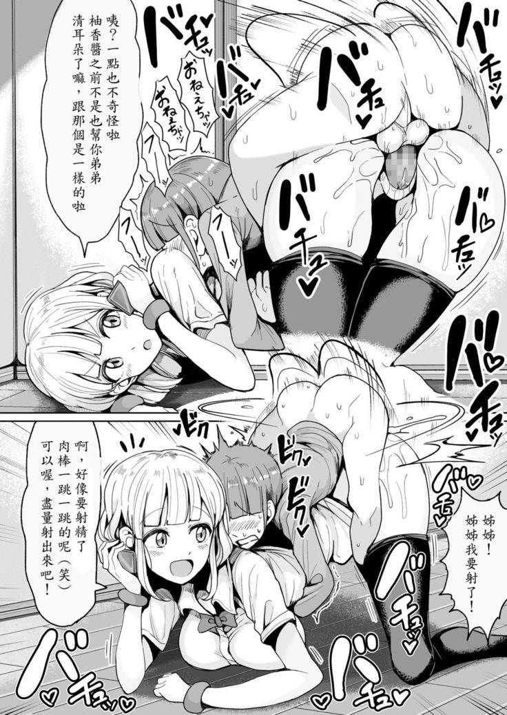 Boku no Onee-chan ni wa Teisou Gainen ga Nai