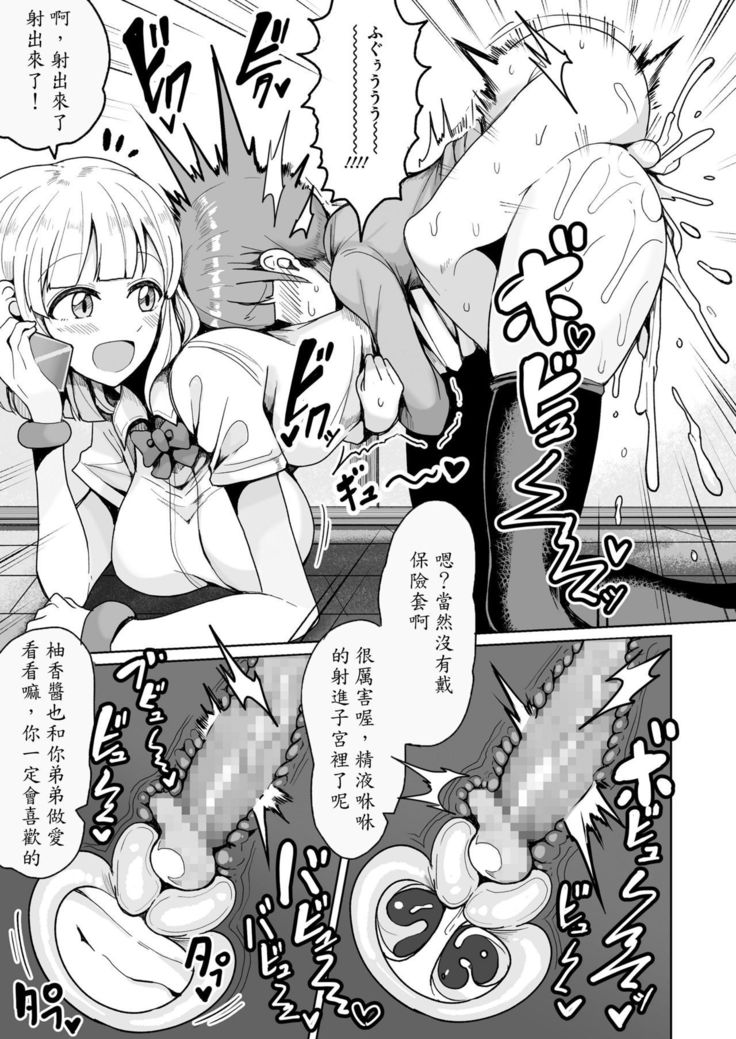 Boku no Onee-chan ni wa Teisou Gainen ga Nai