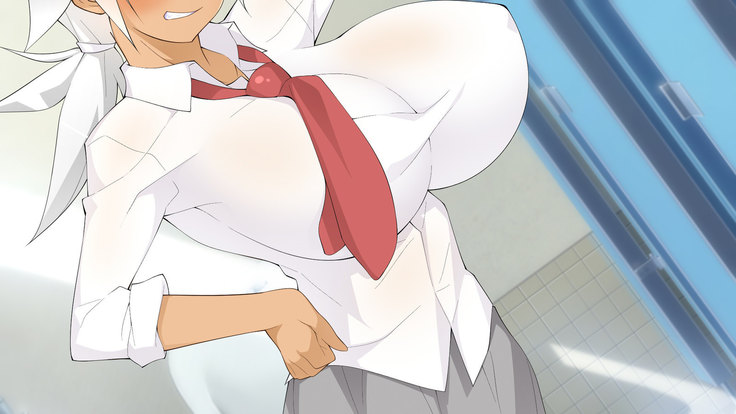 Flying Onee-san -Vol. 1-