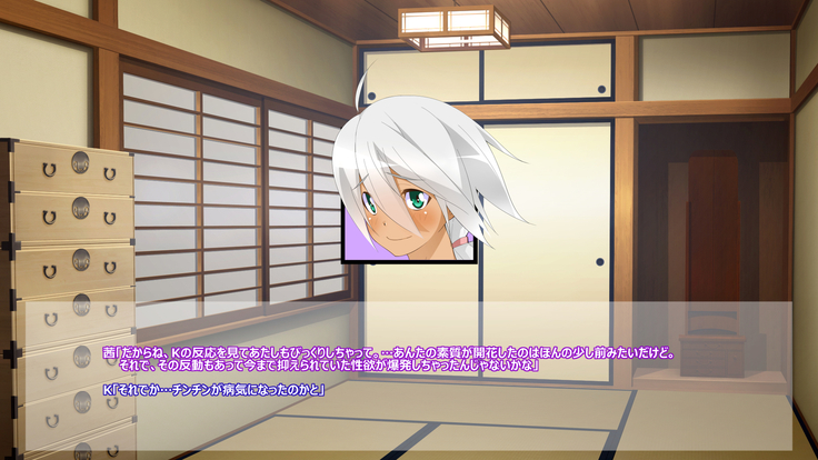 Flying Onee-san -Vol. 1-