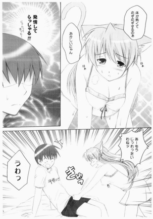 Image 11694739
