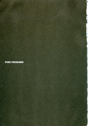 PINK PRISONER - Page 2