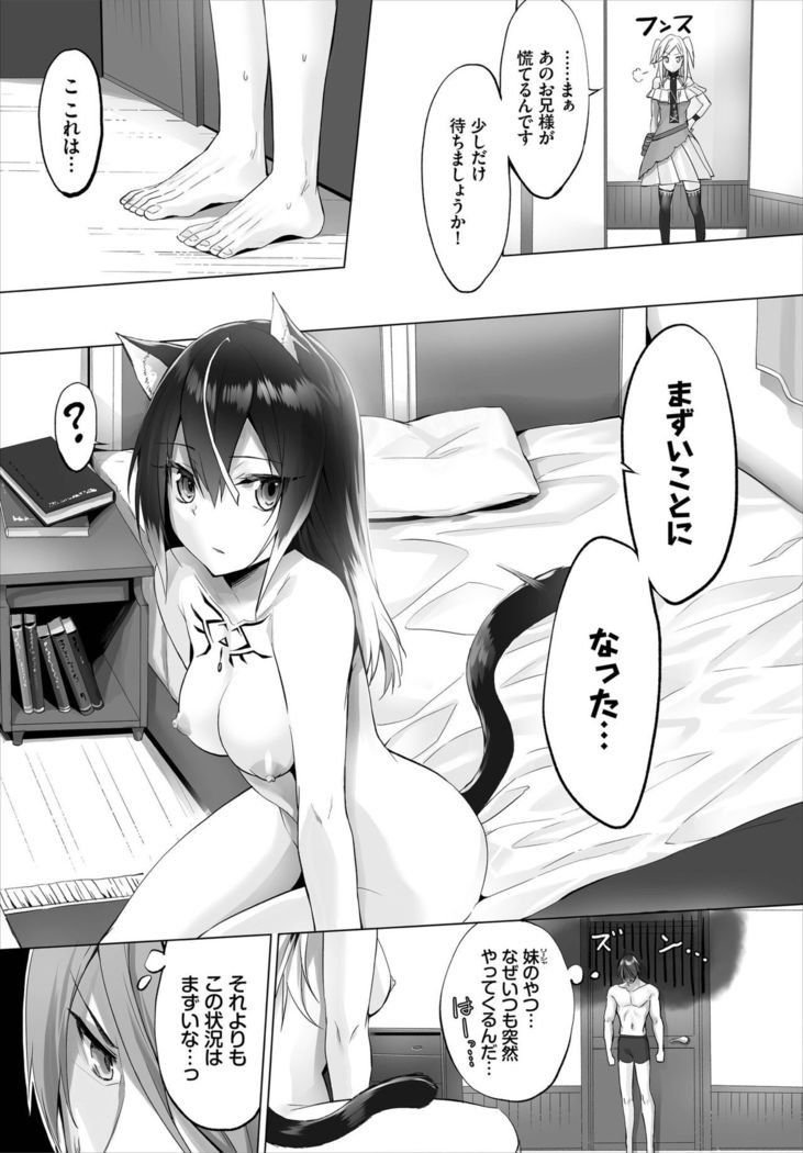 Dascomi Vol.7
