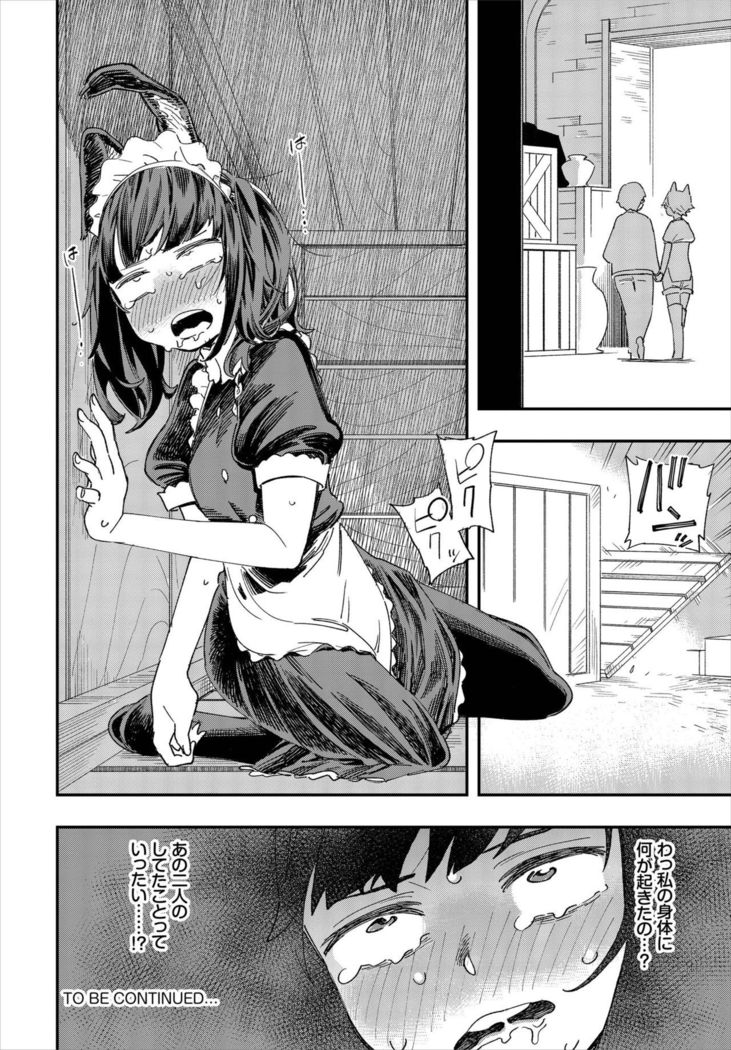 Dascomi Vol.7