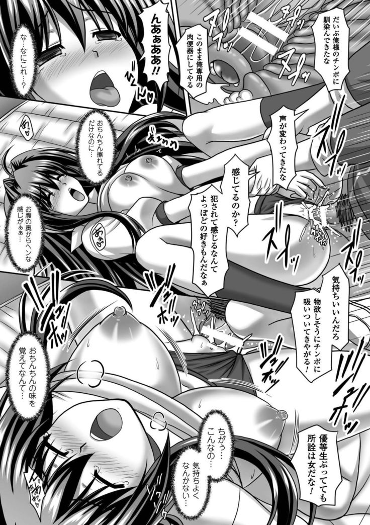 Seigi no Heroine Kangoku File Vol. 7