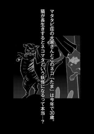 Nekomata-sou no H na Juunin-tachi 1-5 Page #25