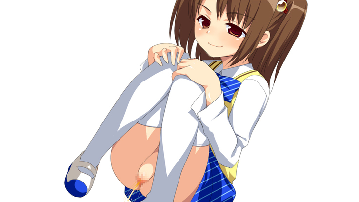 Himitsu de Ecchi na Houshi Katsudou