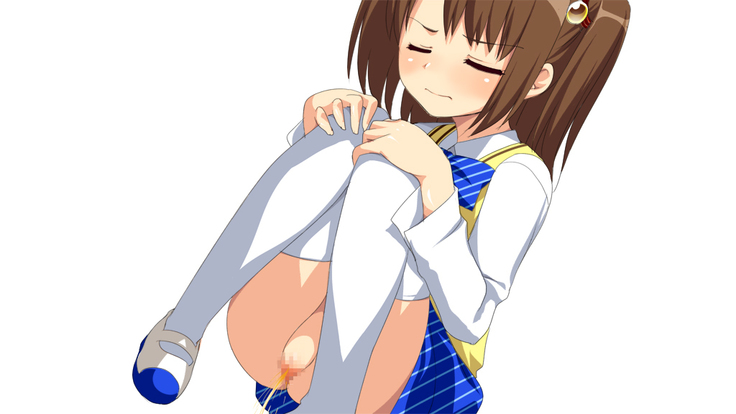 Himitsu de Ecchi na Houshi Katsudou