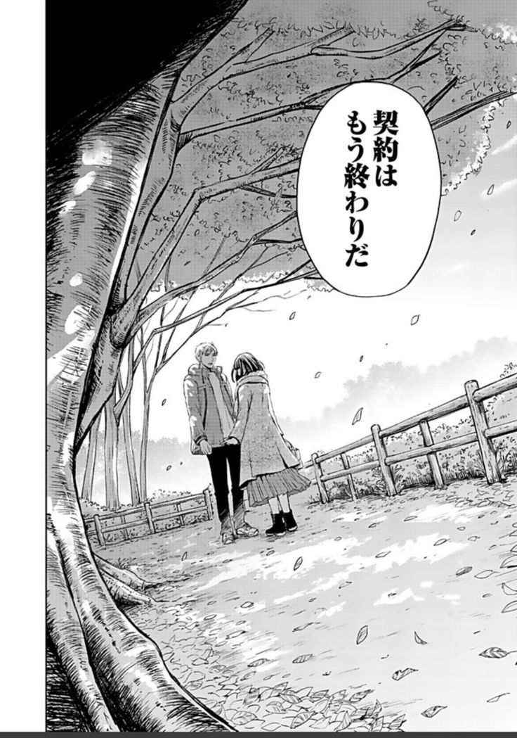 ネトラセ契約