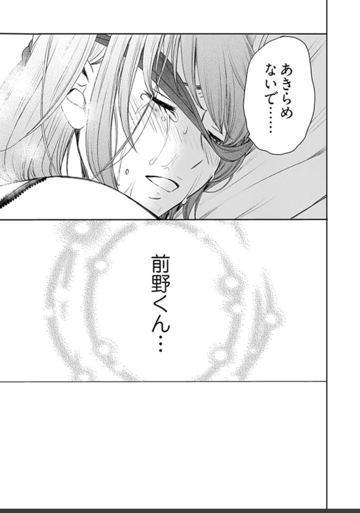 ネトラセ契約