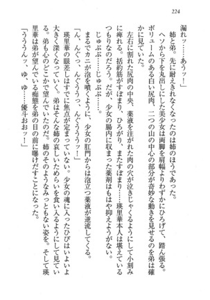 CLEAVAGE～恋人はお姉さん Page #225