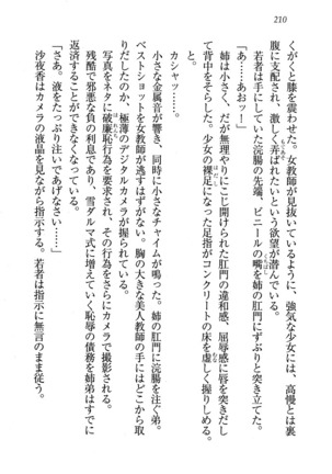 CLEAVAGE～恋人はお姉さん Page #211