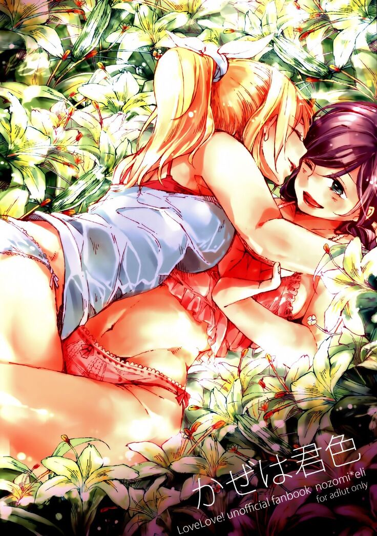 Kaze wa Kimi Iro