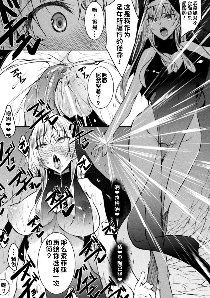 Seijo Daraku Kouhen