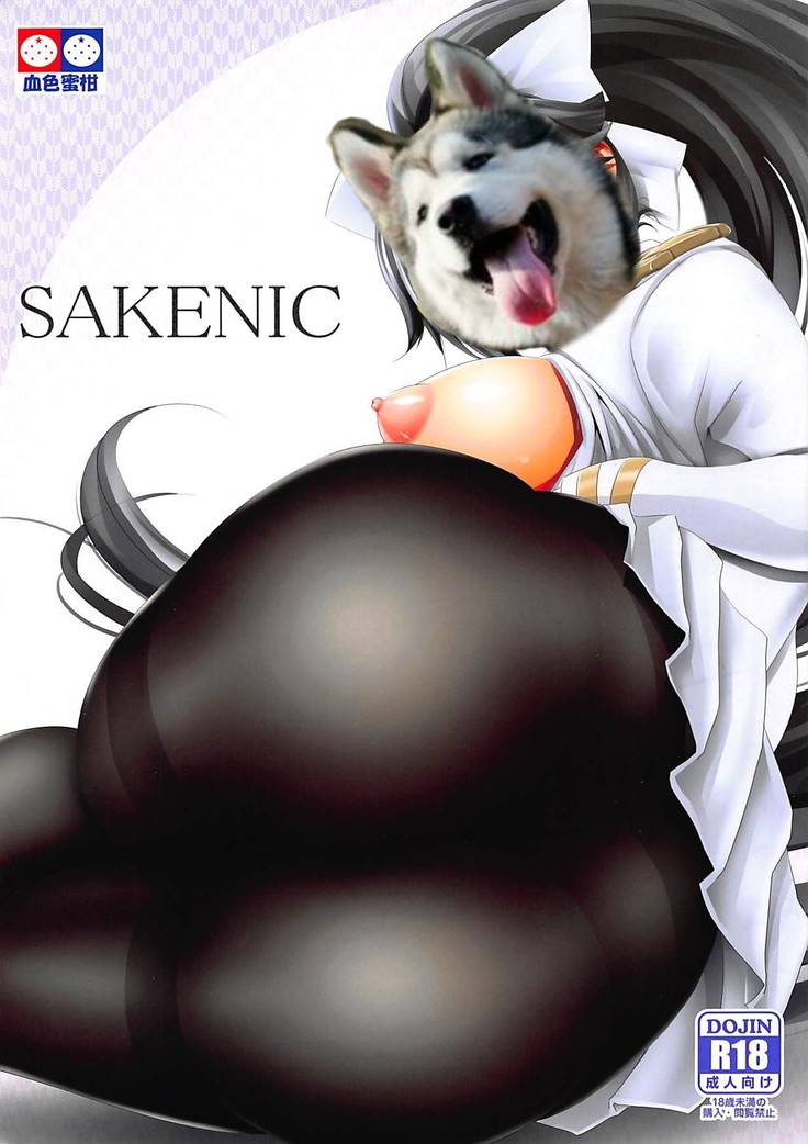 SAKENIC