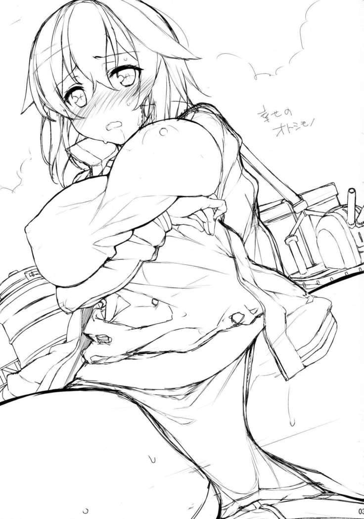 Shiawase no Otoshimono
