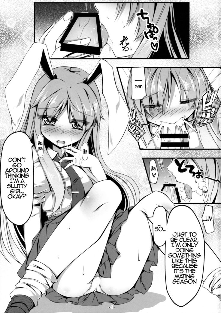 Usagi Zukushi   {Hennojin}