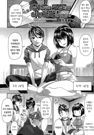 Shitei de Risou no Hamedori Shitemita | 남매끼리 이상적인 하메도리 해보았다 Page #3