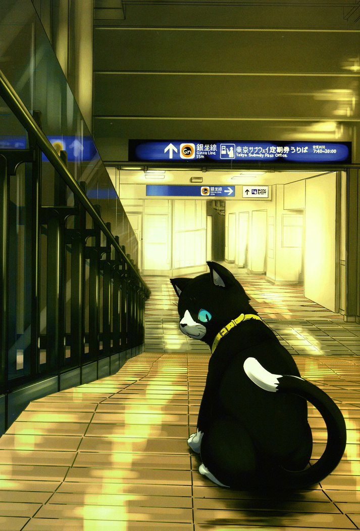 Do You Like Morgana.