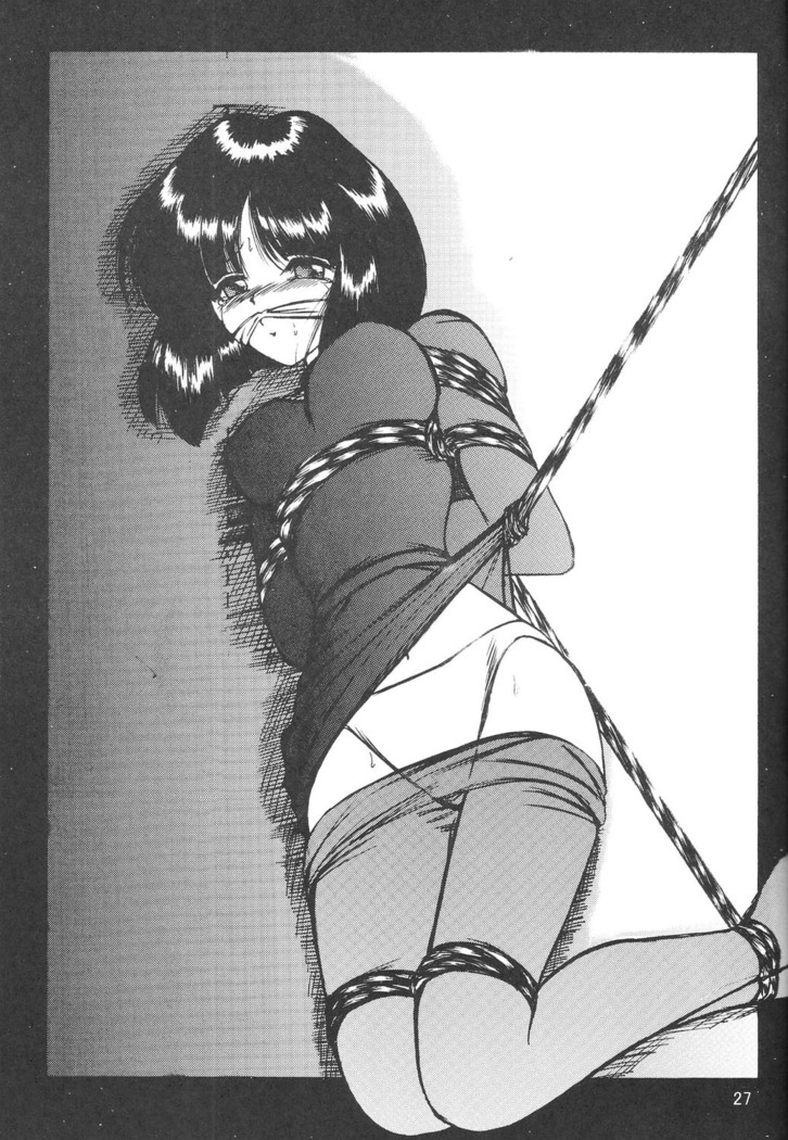 Silent Saturn SS vol. 8