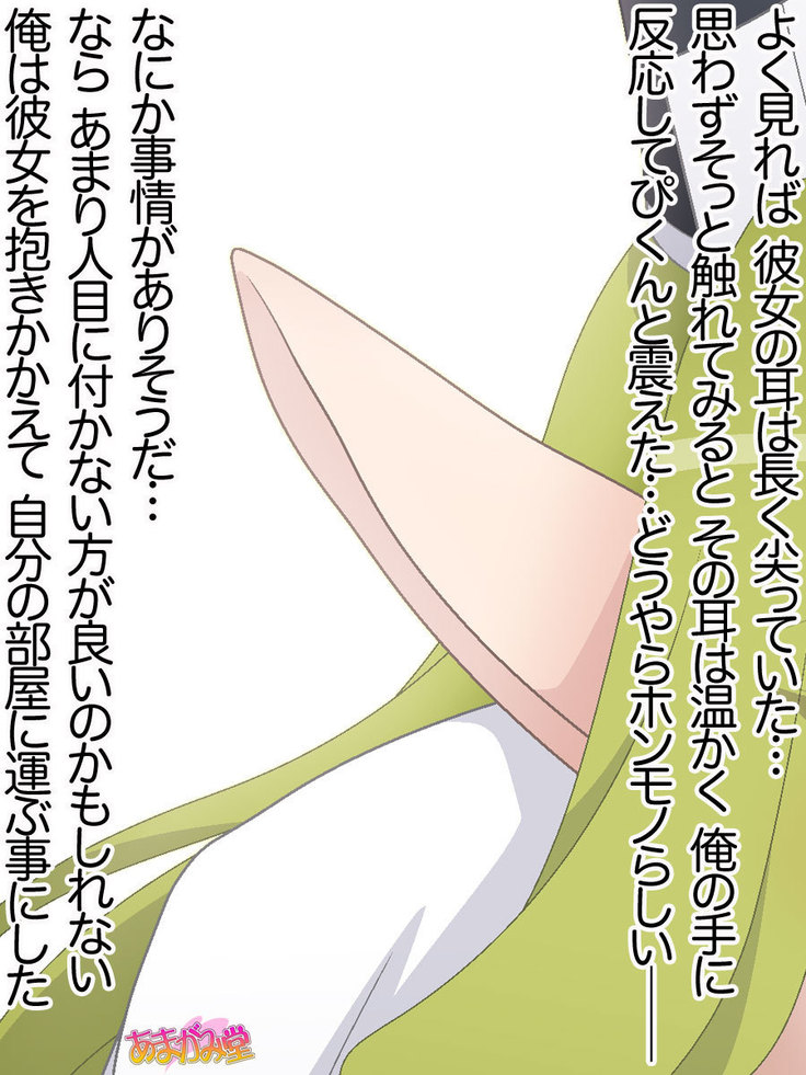 くっころエルフは犯されたい♡ 第 0~8 話