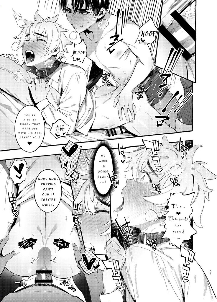 Wanwan Otou-san 2