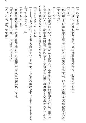 お嬢さま三姉妹にぺろぺろされ続けてると妹がしつけ直しにきました - Page 65