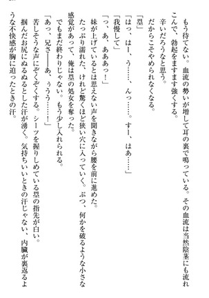 お嬢さま三姉妹にぺろぺろされ続けてると妹がしつけ直しにきました - Page 217