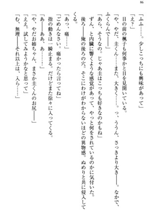 お嬢さま三姉妹にぺろぺろされ続けてると妹がしつけ直しにきました - Page 94