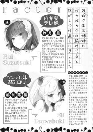 お嬢さま三姉妹にぺろぺろされ続けてると妹がしつけ直しにきました - Page 14