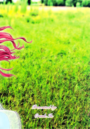 Floriography ~Viola~  =Tigoris Translates= Page #22