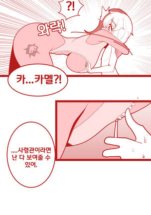 카멜과 감당안되는 수영복