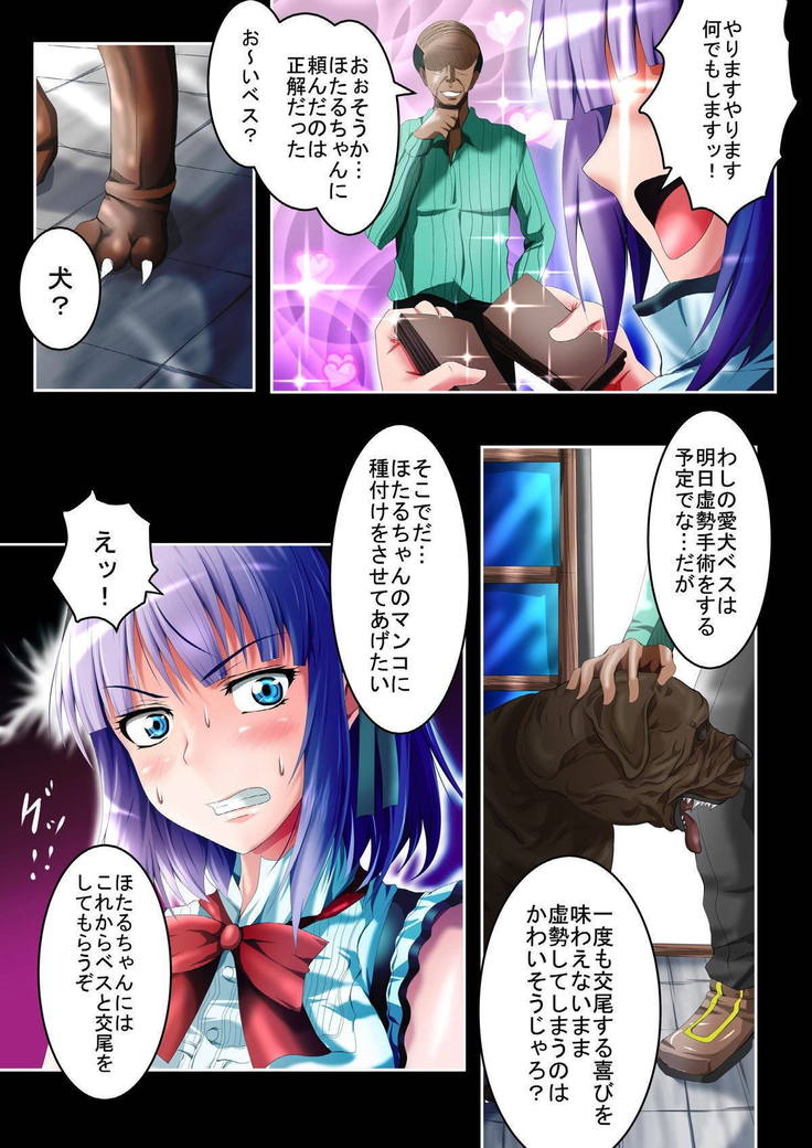 Hotaru Shidare Yariman Bitch Ochi -Gekan-