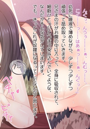 Image 3536619